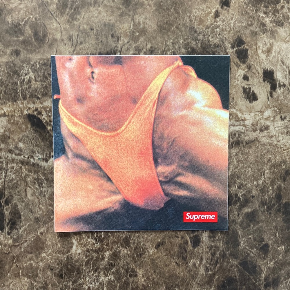 Supreme butthole surfers sticker